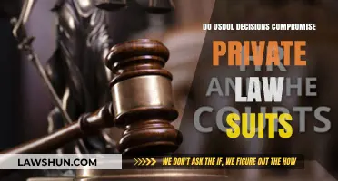 USDOL Decisions: Impact on Private Lawsuits and Legal Autonomy