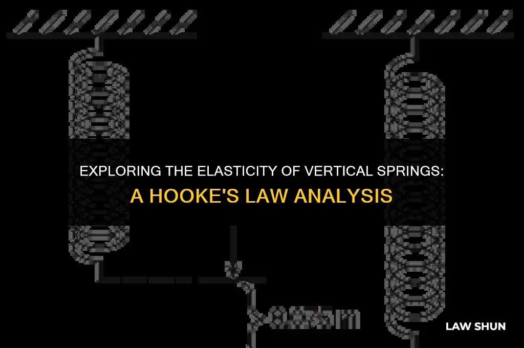 do vertical springs obey hookes law