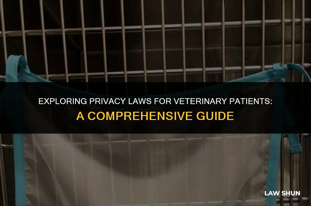 do veterinary patients have privacy laws