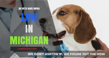 Do Michigan Vets Follow HIPAA Laws? Understanding Privacy Regulations