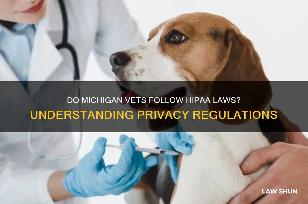 do vets have hipaa law in michigan