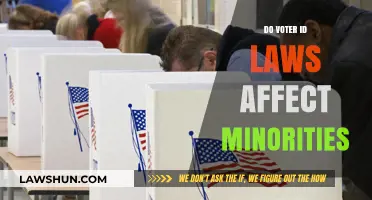 Voter ID Laws: Impact on Minority Voting Rights Explored