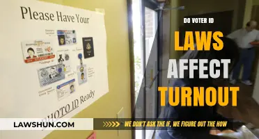Do Voter ID Laws Suppress Turnout? Analyzing Impact and Evidence