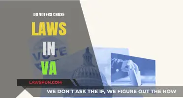 Democracy in Action: How Virginia Voters Shape Their Laws