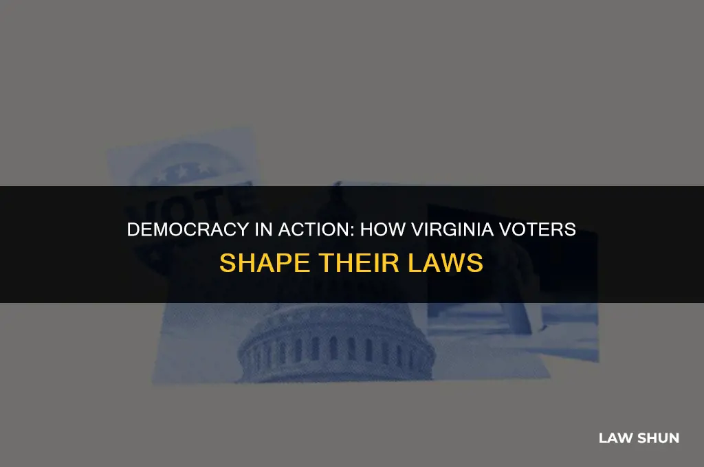 do voters chose laws in va