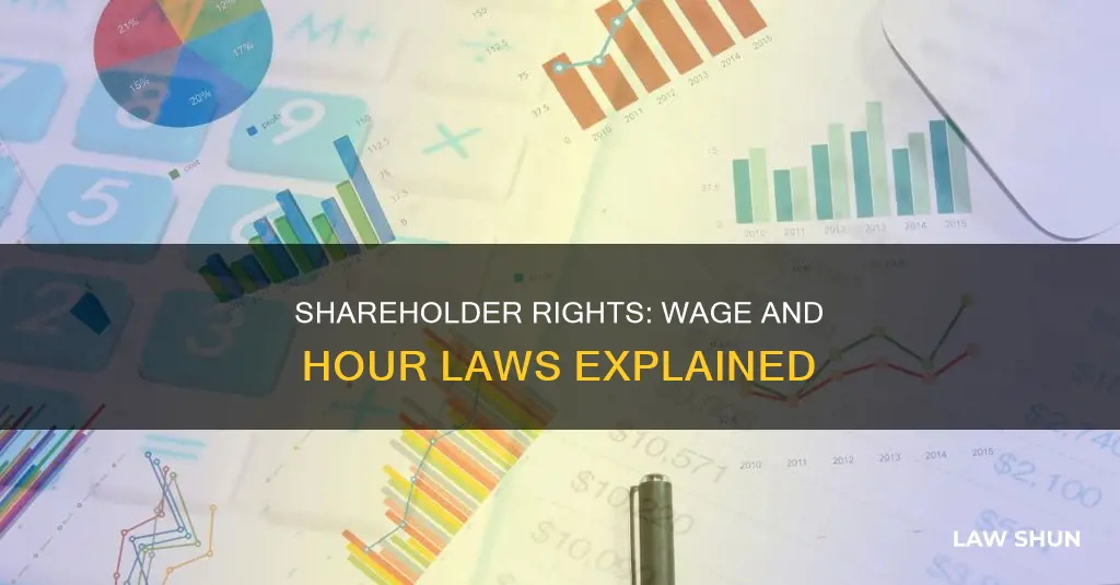 do wage hour laws apply to shareholders