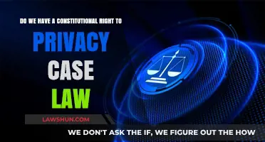 Case Law: Privacy Rights and the Constitution