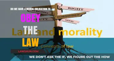 Moral Duty vs. Legal Compliance: Must We Always Obey the Law?