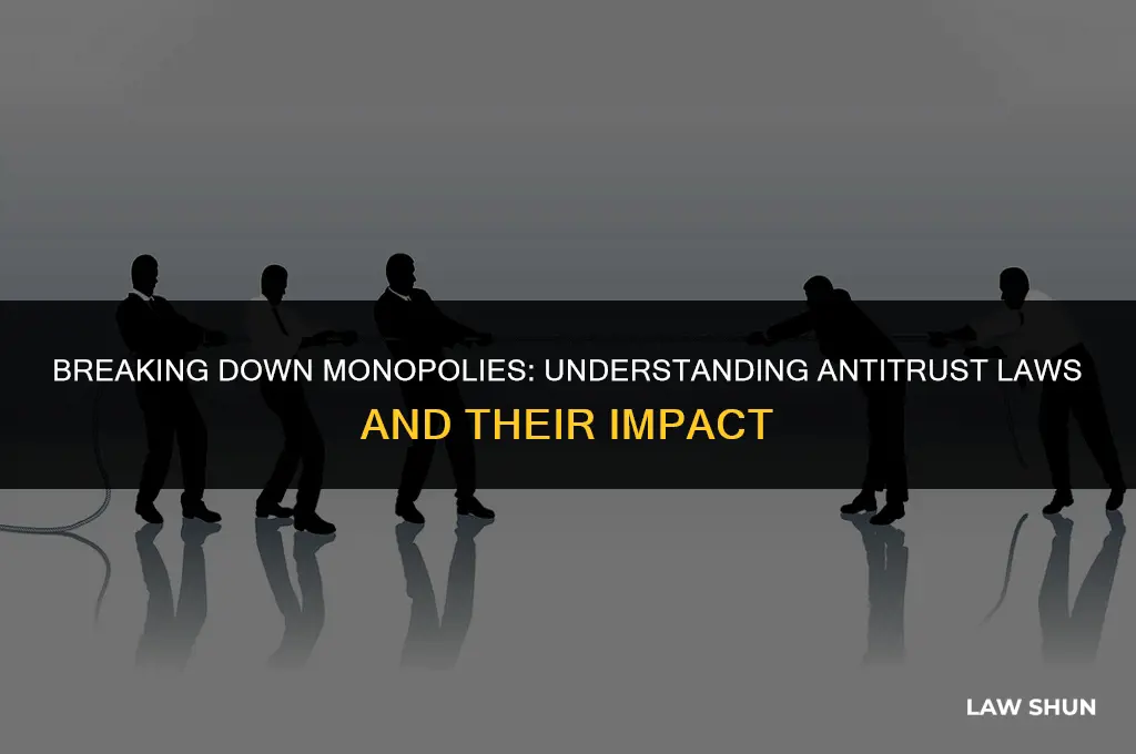 do we have laws against monopolies