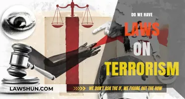 Understanding Anti-Terrorism Legislation: A Comprehensive Overview