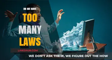 Legal Overload: Examining the Impact of Excessive Legislation