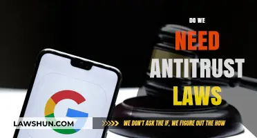 Do We Need Antitrust Laws? Balancing Competition and Market Power