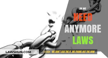 Do We Need More Laws? Balancing Freedom and Regulation