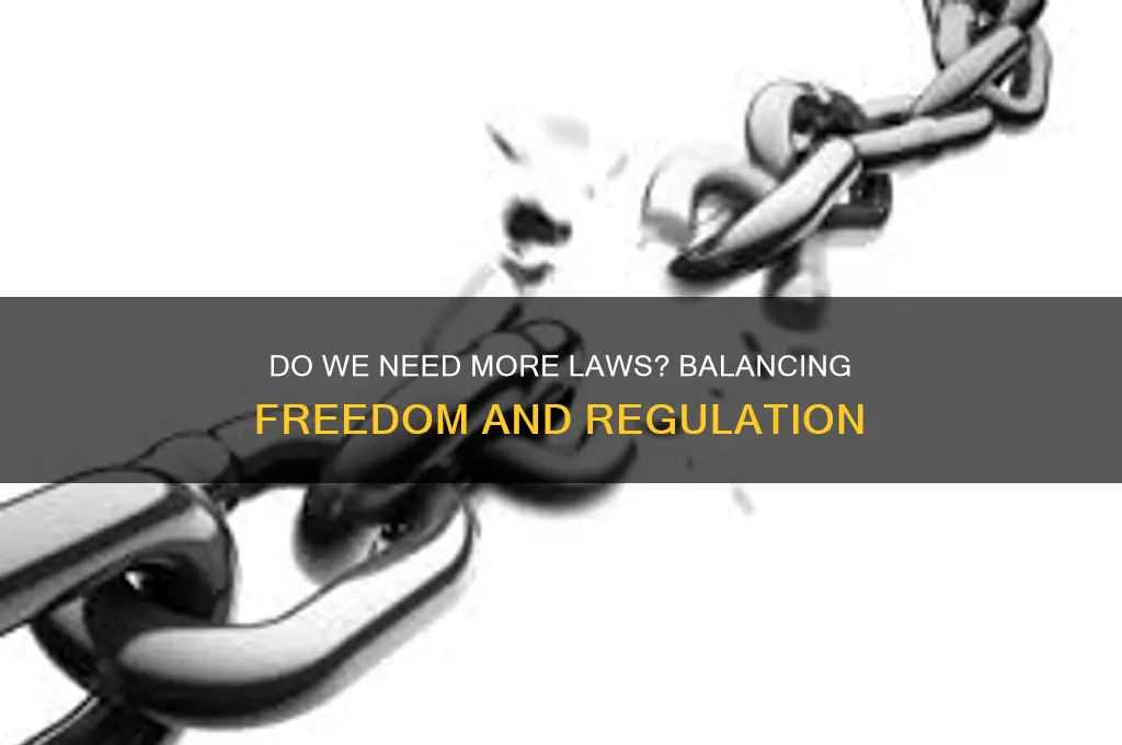 do we need anymore laws