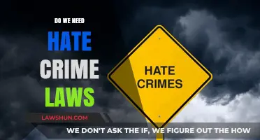 Do We Need Hate Crime Laws? Examining Purpose and Impact