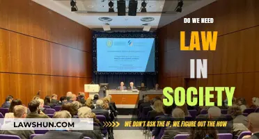 Why Laws Matter: The Role of Legal Systems in Shaping Society