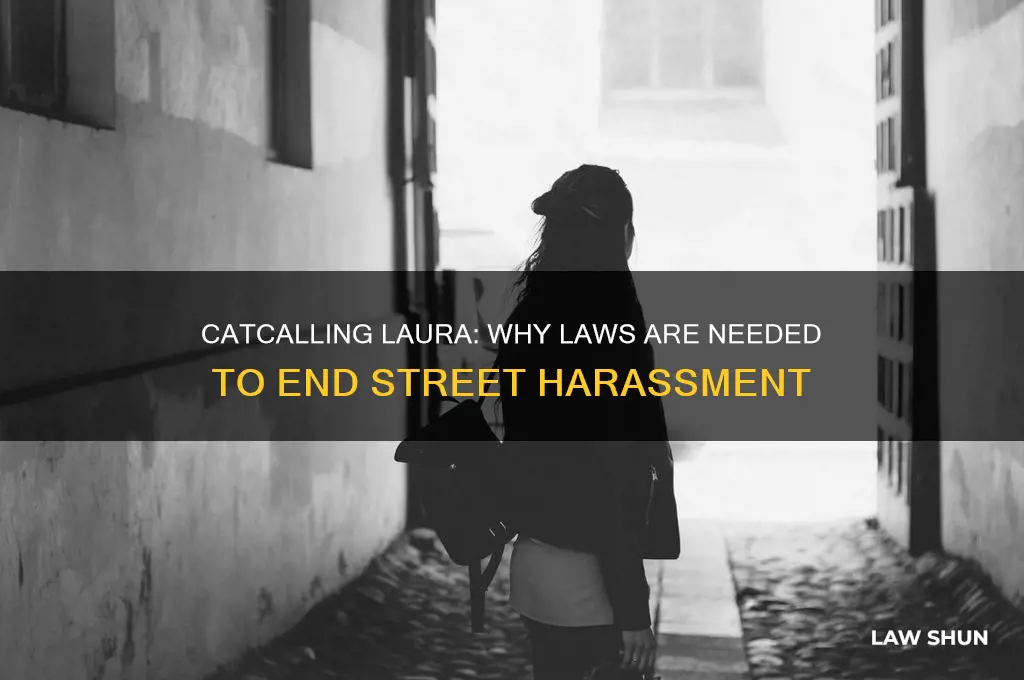 do we need laws against catcalling laura