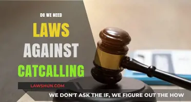 Catcalling: Harmless Flirtation or Harassment? Do We Need Laws?
