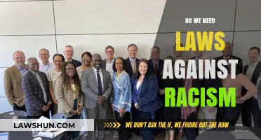 Combating Racism: Are Laws Enough to Foster Equality and Justice?