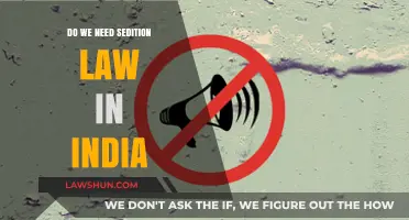 Sedition Law in India: Necessary Protection or Threat to Free Speech?