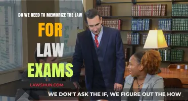Memorizing Law vs. Understanding: What’s Essential for Law Exams?