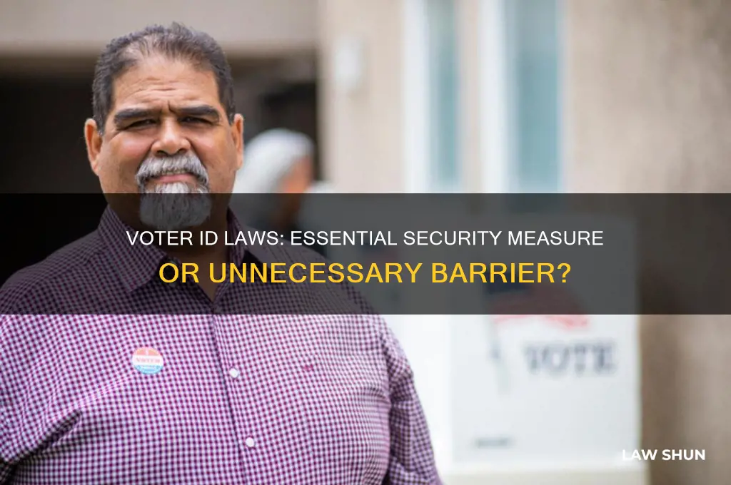 do we need voter id laws
