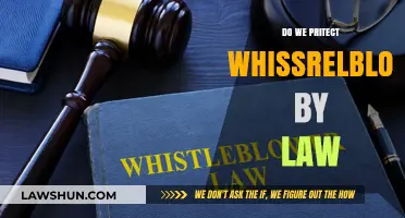 Legal Protections for Whistleblowers: A Comprehensive Overview