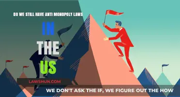 Antitrust Laws: Are They Still Relevant in the US?