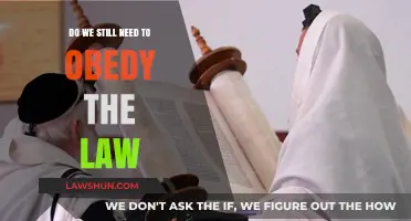 Do We Still Need to Obey the Law? Exploring Legal Obligations