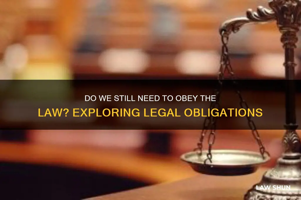 do we still need to obedy the law