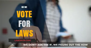 Do We Vote for Laws? Understanding Direct Democracy vs. Representative Governance