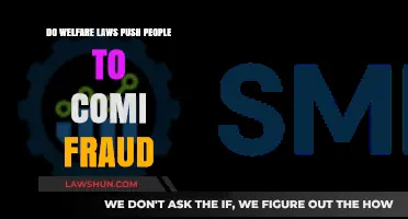 Welfare Laws and Fraud: Unintended Consequences or Necessary Safeguards?
