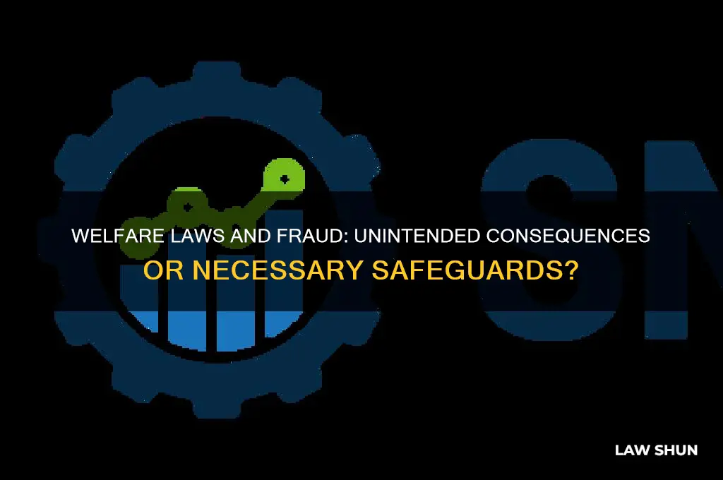 do welfare laws push people to comi fraud