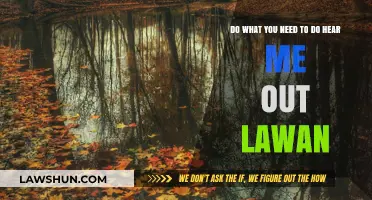 Do What You Need: Hear Me Out, Lawan's Unfiltered Perspective
