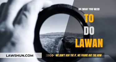 Do What You Need to Do, Lawan: Embrace Your Path to Success