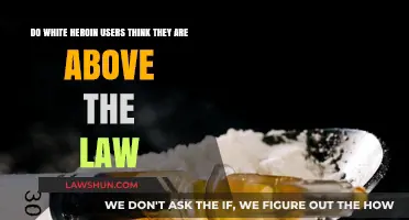 White Heroin Users and the Illusion of Legal Immunity: A Critical Analysis