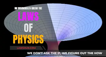 Wormholes: Warping Space-Time Without Breaking Laws of Physics?