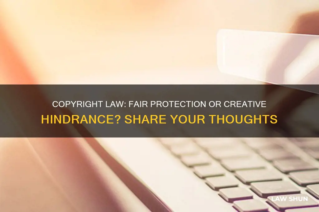 do you agree or disagree with the copyright law