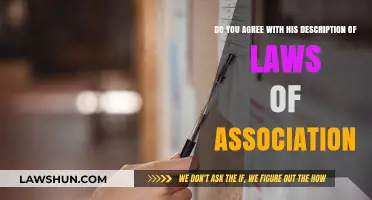 Analyzing the Validity of His Description of Laws of Association