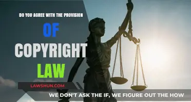 Copyright Law: Balancing Creativity, Protection, and Public Interest – Your Thoughts?