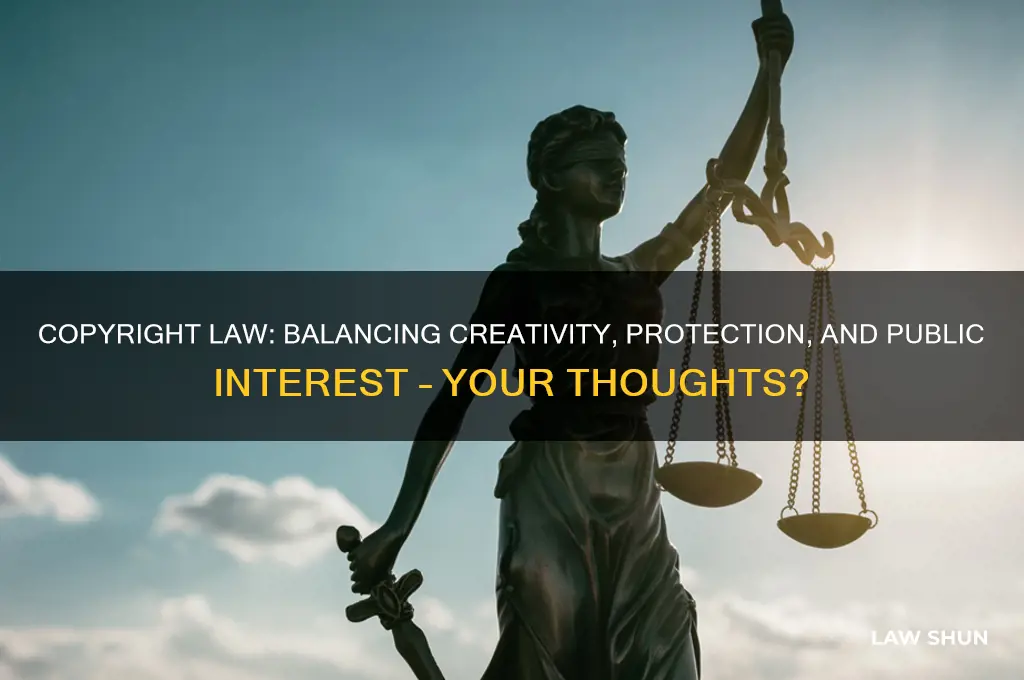 do you agree with the provision of copyright law
