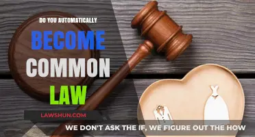 How to Become Common-Law Partners