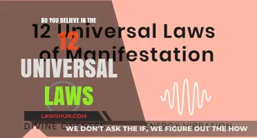 Exploring the 12 Universal Laws: A Spiritual Journey