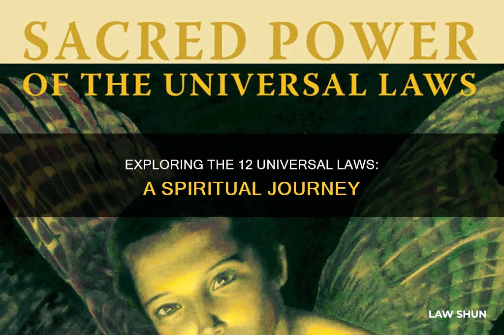 do you believe in the 12 universal laws