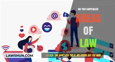 Do You Capitalize Areas of Law? A Definitive Guide