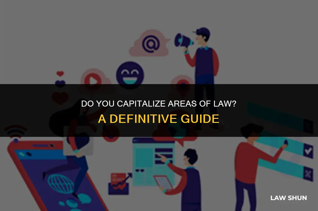 do you capitalize areas of law