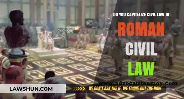 Capitalizing Civil Law in Roman Civil Law: Rules and Usage
