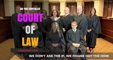 Capitalizing 'Court of Law': Grammar Rules for Legal Writing