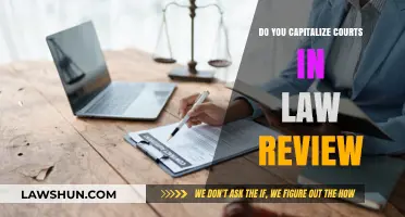 Capitalizing 'Courts' in Law Reviews: Essential Rules and Best Practices