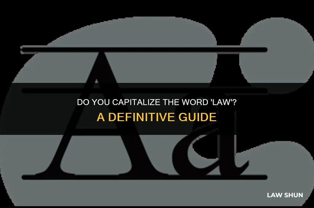 do you capitalize the word law